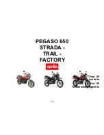 Предварительный просмотр 165 страницы APRILIA PEGASO 650 FACTORY Manual