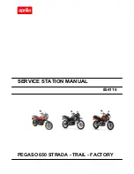 Preview for 1 page of APRILIA PEGASO 650 STRADA Service Station Manual