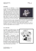 Preview for 4 page of APRILIA RSV Mille 1000 1999 Technical Training Course