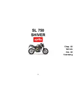 Preview for 19 page of APRILIA SHIVER 750 - Manual