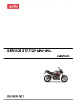 APRILIA SHIVER 900 Service Station Manual предпросмотр