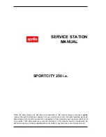 Preview for 2 page of APRILIA SportCity 250 ie Service Manual