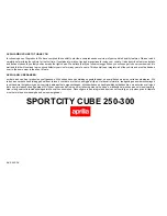 APRILIA SPORTCITY CUBE 250 Manual предпросмотр