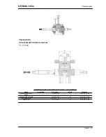 Предварительный просмотр 15 страницы APRILIA SR MAX 125 ie Service Station Manual