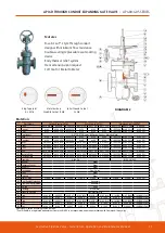 Предварительный просмотр 29 страницы APV AP 400 Series Installation, Operation & Maintenance Manual