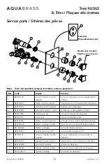 Предварительный просмотр 13 страницы aquabrass TREVI N1004 Installation Manual