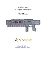 Preview for 1 page of Arcflash Labs EMG-01 Beta User Manual