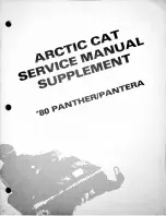 Arctic Cat Pantera 1980 Service Manual Supplement preview