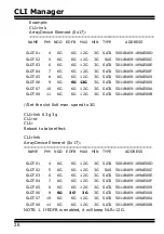 Preview for 26 page of Areca ARC-4038 Series User Manual