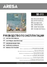 Предварительный просмотр 1 страницы ARESA SB-313 Instruction Manual