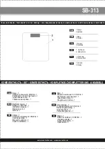 Предварительный просмотр 2 страницы ARESA SB-313 Instruction Manual