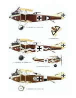 Preview for 10 page of Arizona Albatros C.III Assembly And Historical Information