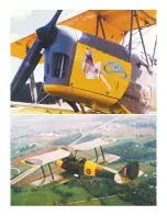 Preview for 20 page of Arizona DeHavilland Tiger Moth Assembly Notes And Historical Documentation