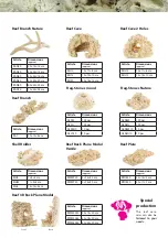 Preview for 7 page of ARKA REEF CERAMICS Instructions Manual