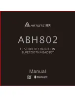 Artiste ABH802 Manual preview