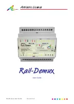 Artistic Licence Rail-Demux User Manual предпросмотр