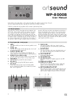 Artsound WP-8000B User Manual preview