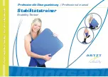 ARTZT vitality Stability Trainer Professional Manual preview