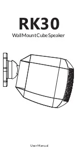 Предварительный просмотр 1 страницы Arylic RK30 User Manual