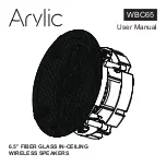 Arylic WBC65 User Manual предпросмотр