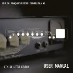 Ashdown CTM-30-Little Stubby User Manual preview