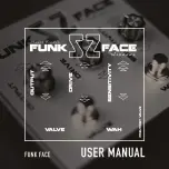 Ashdown Stuart Zender FUNK FACE User Manual preview