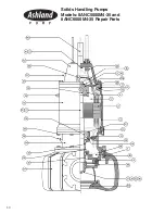 Preview for 30 page of Ashland Pump 3ANC300 Operation, Performance, Specifications And Parts Manual