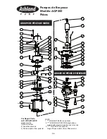 Предварительный просмотр 46 страницы Ashland AGP200 Series Operation, Performance, Specifications And Parts Manual