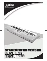 Ashton STAGEPERFORMER500 User Manual preview