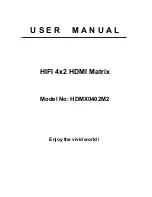 Ask HDMX0402M2 User Manual предпросмотр