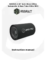 Assault BASS10.1 Instruction Manual preview