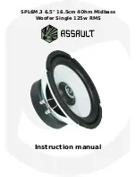 Assault SPL6M.3 Instruction Manual preview