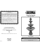 Astonica 40200806 Instruction Manual preview