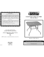 Astonica 50101100 Instruction Manual preview