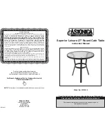 Astonica 50103534 Instruction Manual preview