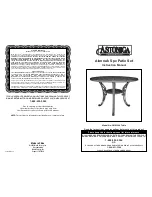 Astonica 50105346 Instruction Manual preview