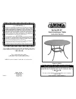 Astonica 50105573 Instruction Manual preview