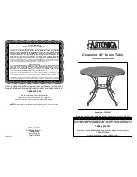 Astonica 50105597 Instruction Manual preview