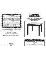 Astonica 50105602 Instruction Manual preview