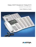 Astra Dialog 3213 Quick Reference Manual preview