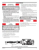 Preview for 19 page of Astria Fireplaces F1219 Installation & Operation Instructions