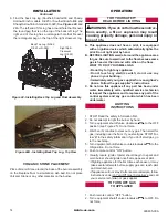 Preview for 14 page of Astria Fireplaces MAGNIFLAMEOD30NE Installation And Operation Instructions Manual