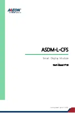 Asus AAEON ASDM-L-CFS User Manual preview