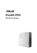 Asus Pundit-PH3 Manual preview