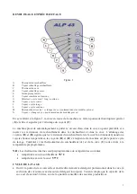 Предварительный просмотр 15 страницы ATA ALP 43 Series Installation, Use And Maintenance Manual