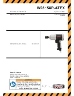 Atex W2315XP Manual preview