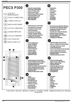 Preview for 40 page of Atlantic PECS P300 User Manual