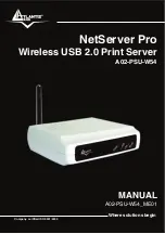 Atlantis Land NetServer Pro A02-PSU-W54 Manual предпросмотр