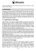 Preview for 18 page of Atlantis NetMaster SG32 User Manual