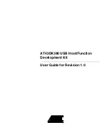 Atmel AT43DK380 User Manual preview